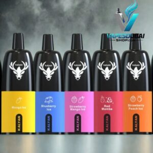 KALYAN Pro 12000 Puffs Disposable Vape 50Mg